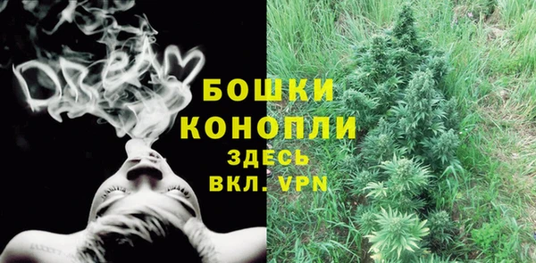 дживик Нея