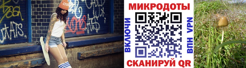 Псилоцибиновые грибы MAGIC MUSHROOMS  купить наркотик  Почеп 